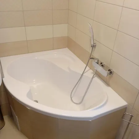 Historic Apartment Prague